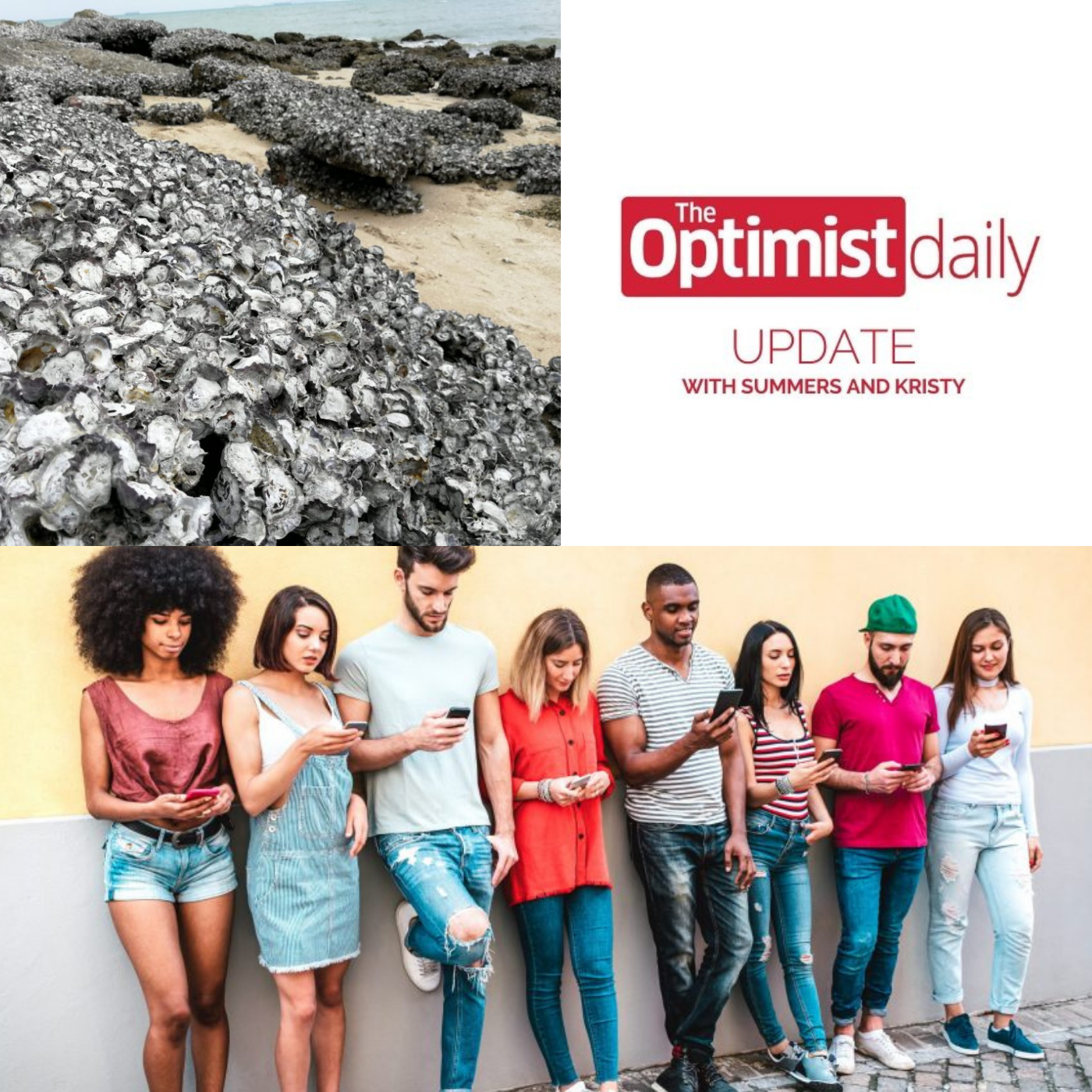 The Resting Reef & The Cramm