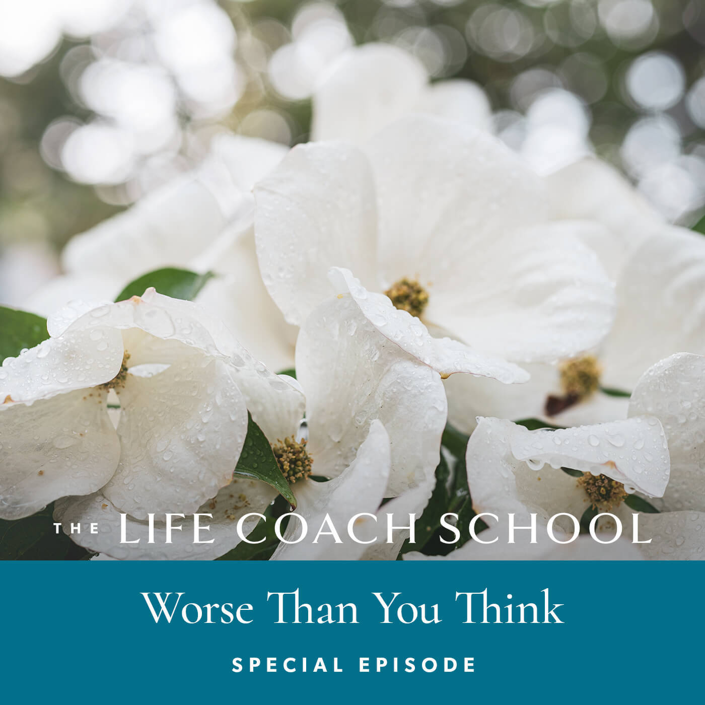 Worse Than You Think (Special Edition)