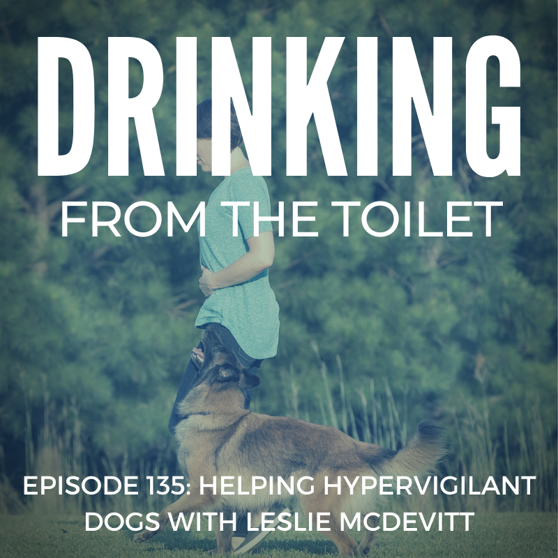 #135: Helping Hypervigilant Dogs with Leslie McDevitt