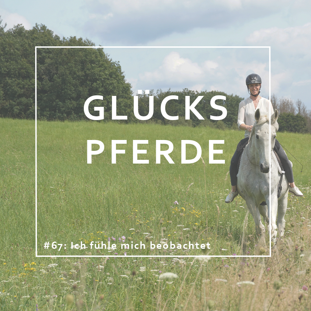 GlücksPferde - Erfüllt leben im Spiegel der Pferde