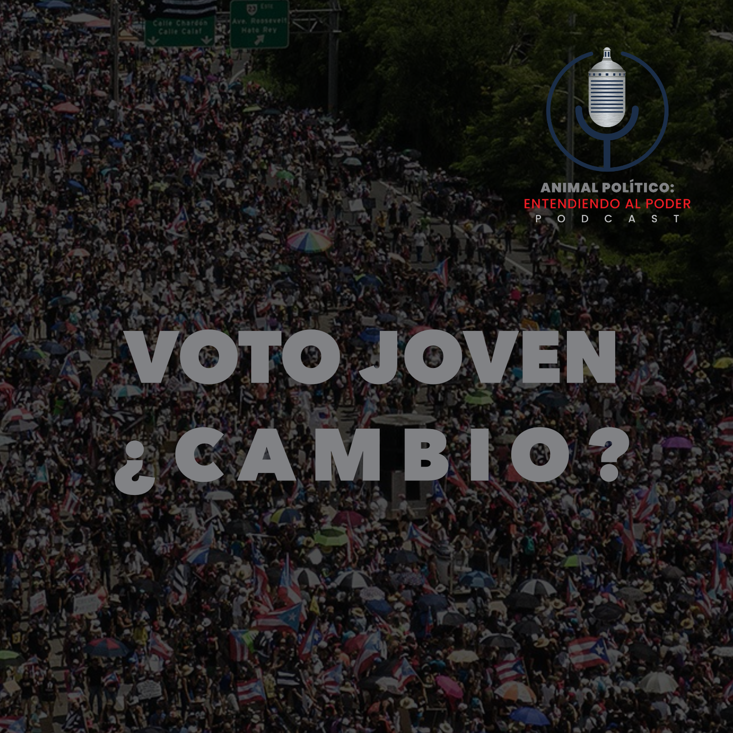Animal Político: Entendiendo al Poder