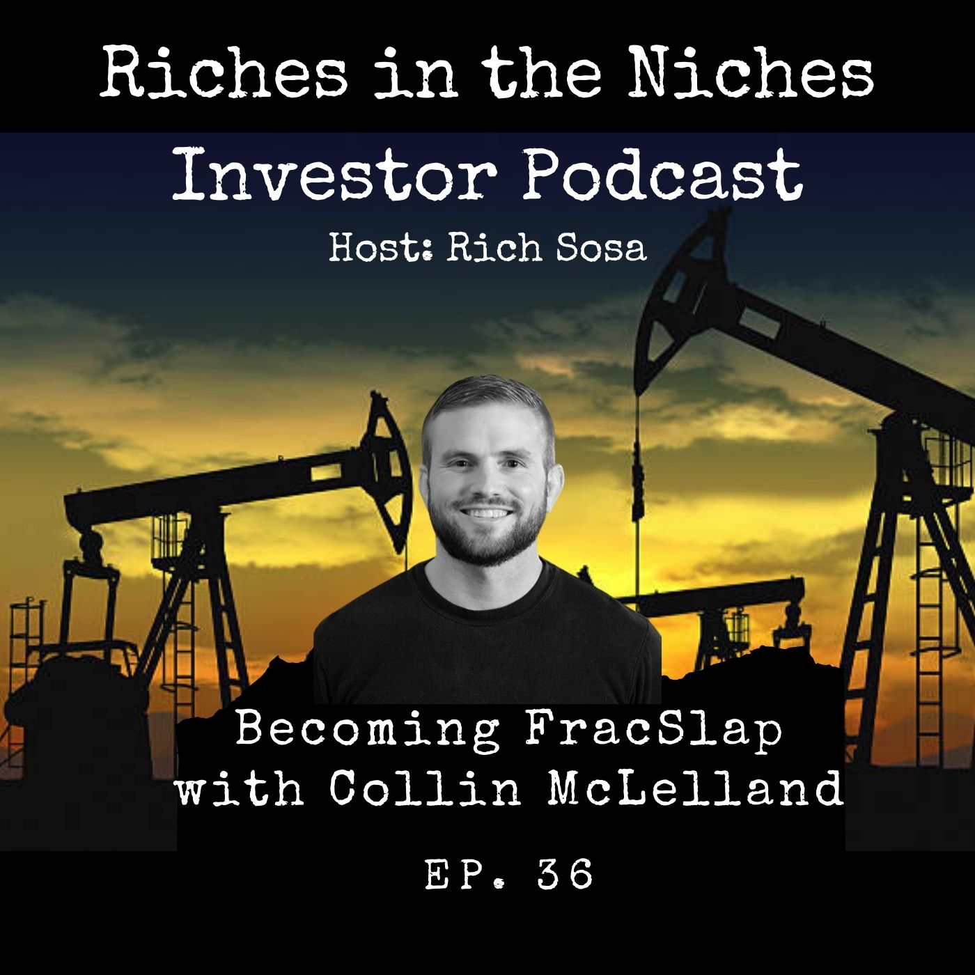 Riches in the Niches Investor Podcast