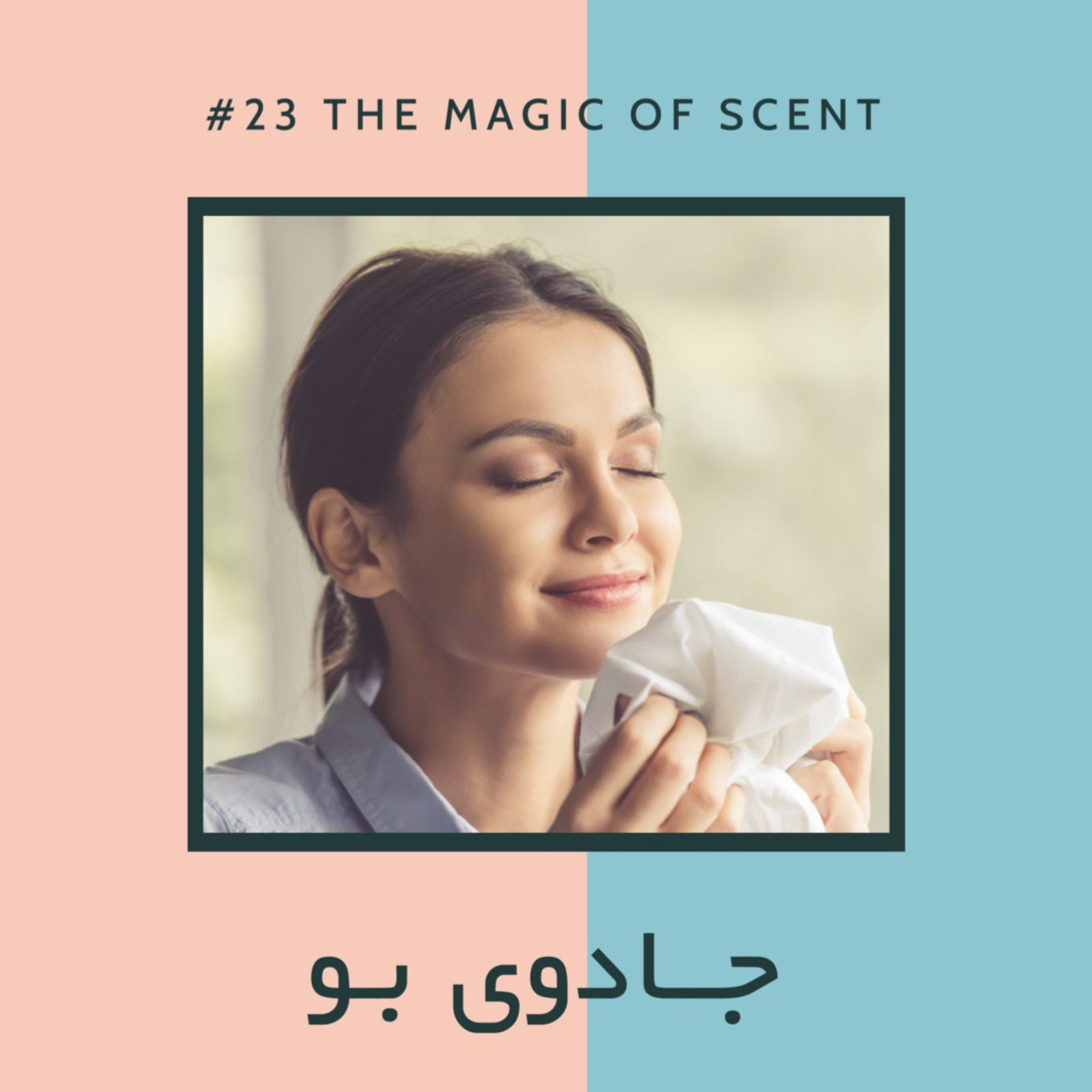AJIL | آجیل