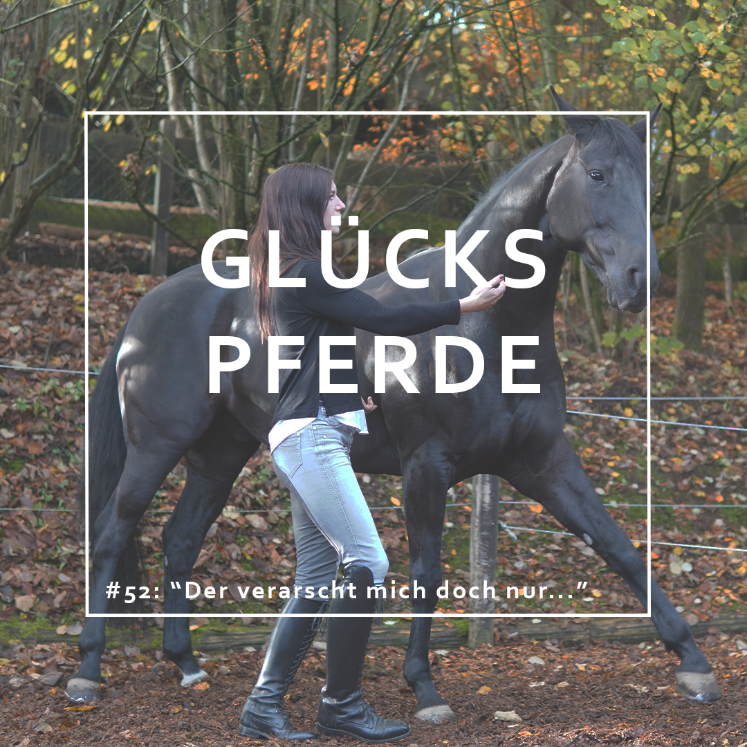 GlücksPferde - Erfüllt leben im Spiegel der Pferde