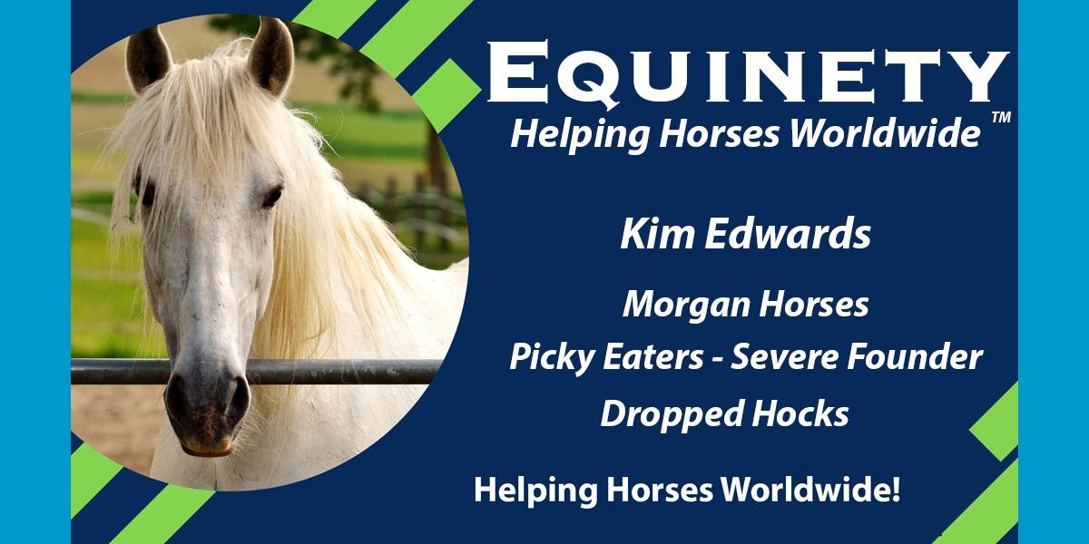 Kim Edwards – Morgan Horses - Picky Horse – Founder – Dropped Hocks
