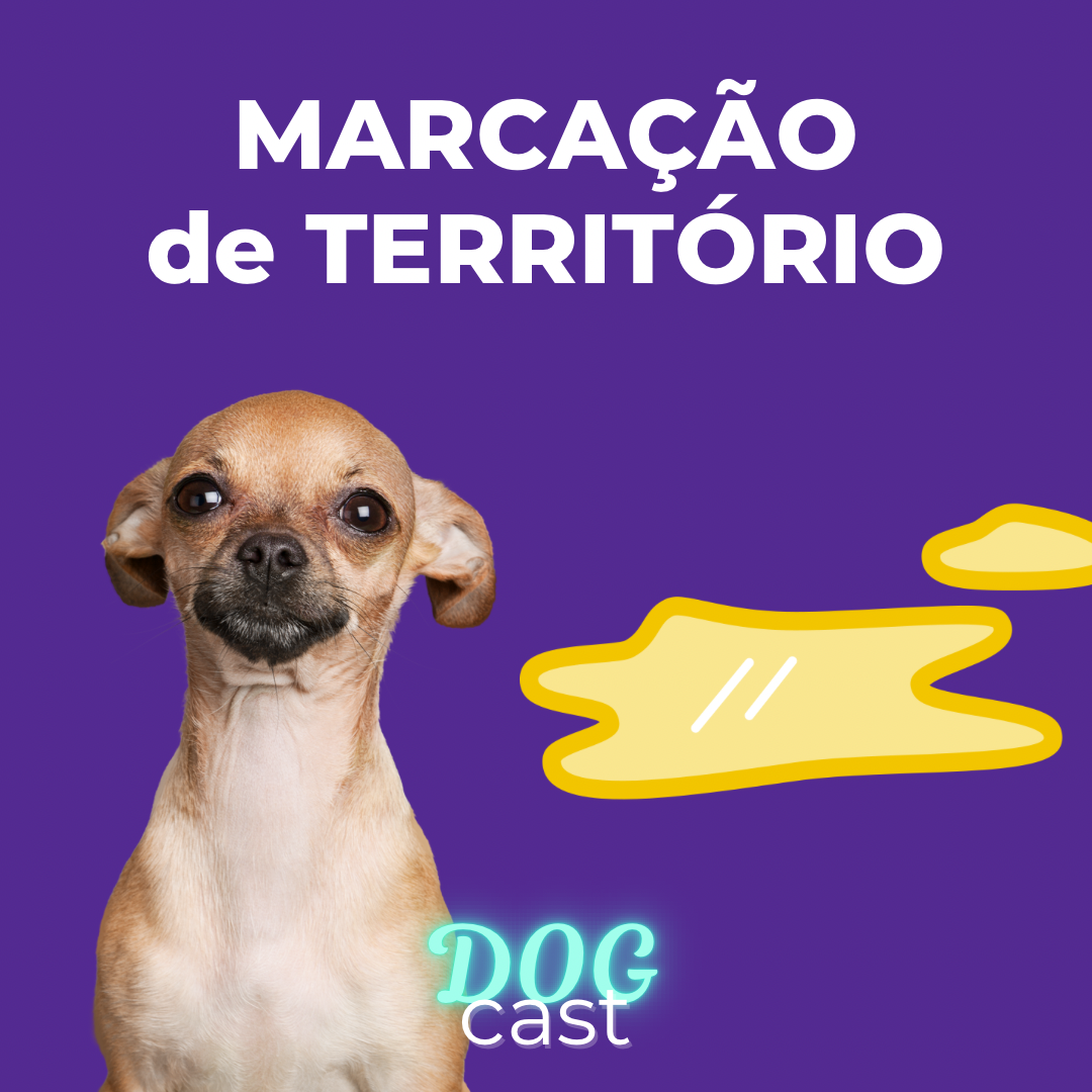 DogCast