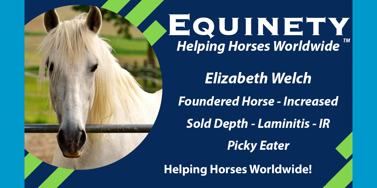 Elizabeth Welch – Severe Foundered Horse – Significant Sole Depth – Laminitis – IR – Picky Eater