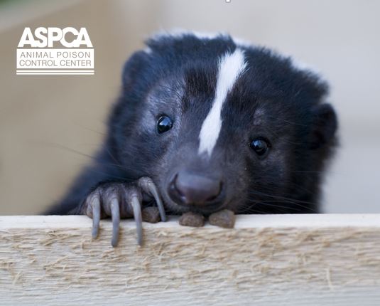 ASPCA Animal Poison Control Center for Vets