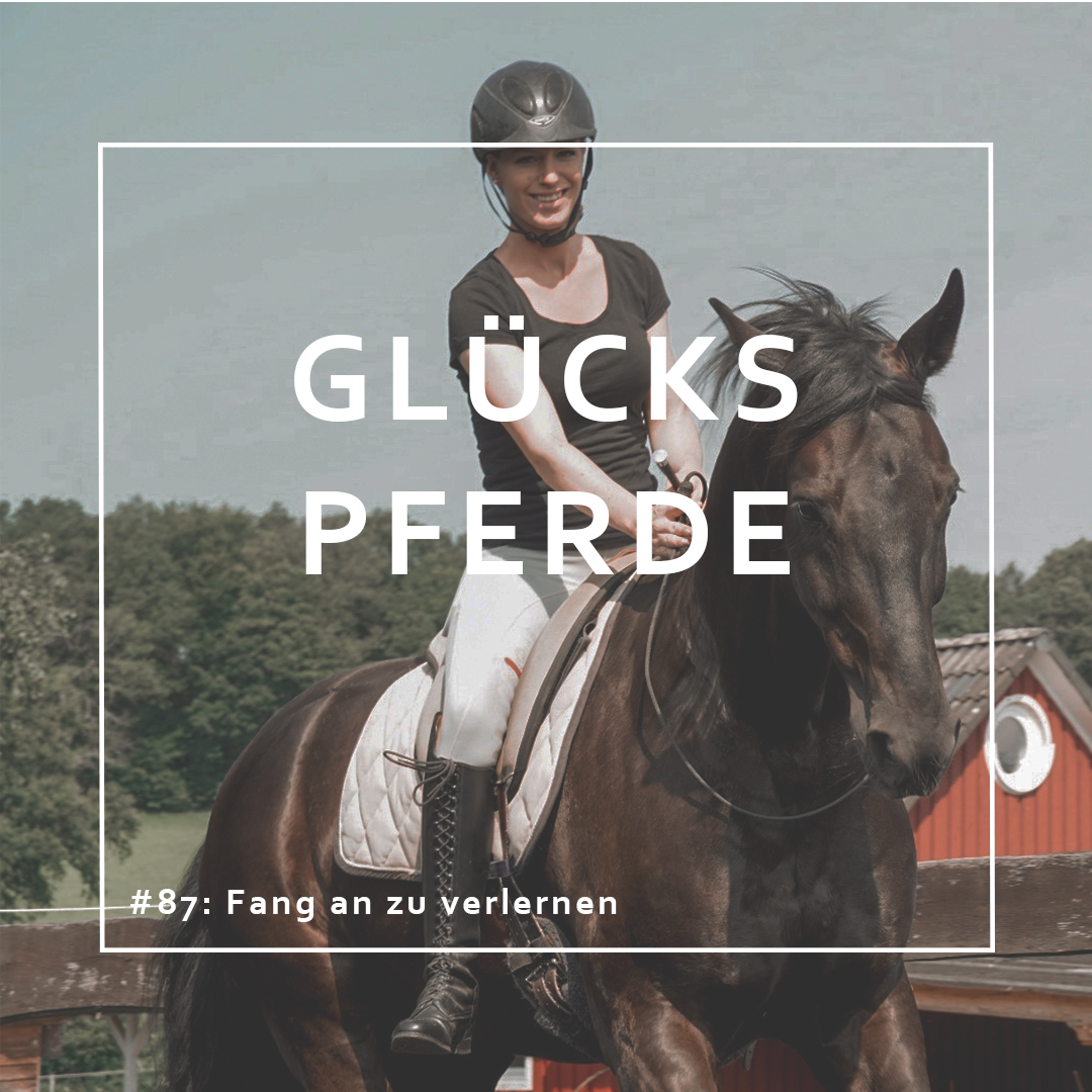 GlücksPferde - Erfüllt leben im Spiegel der Pferde