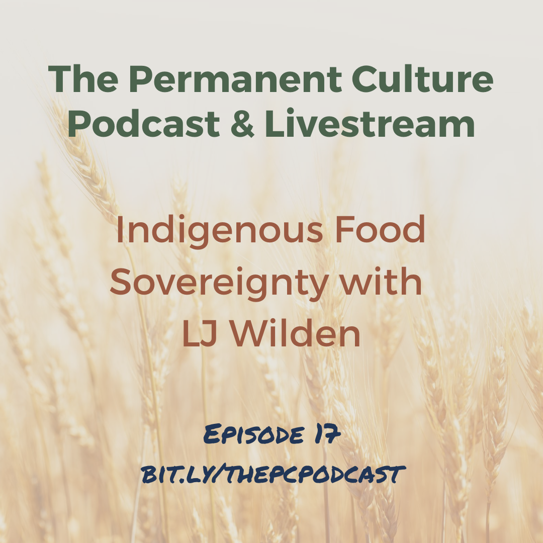 The Permanent Culture Podcast