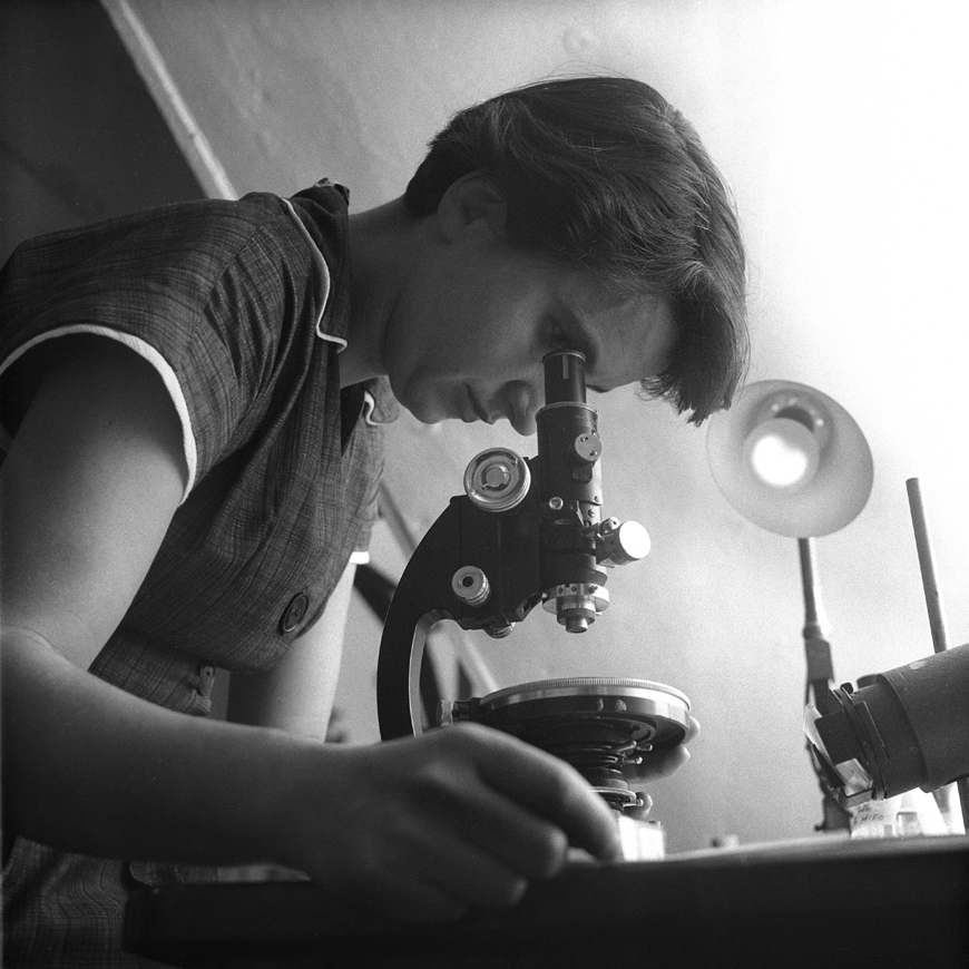 A world without Rosalind Franklin