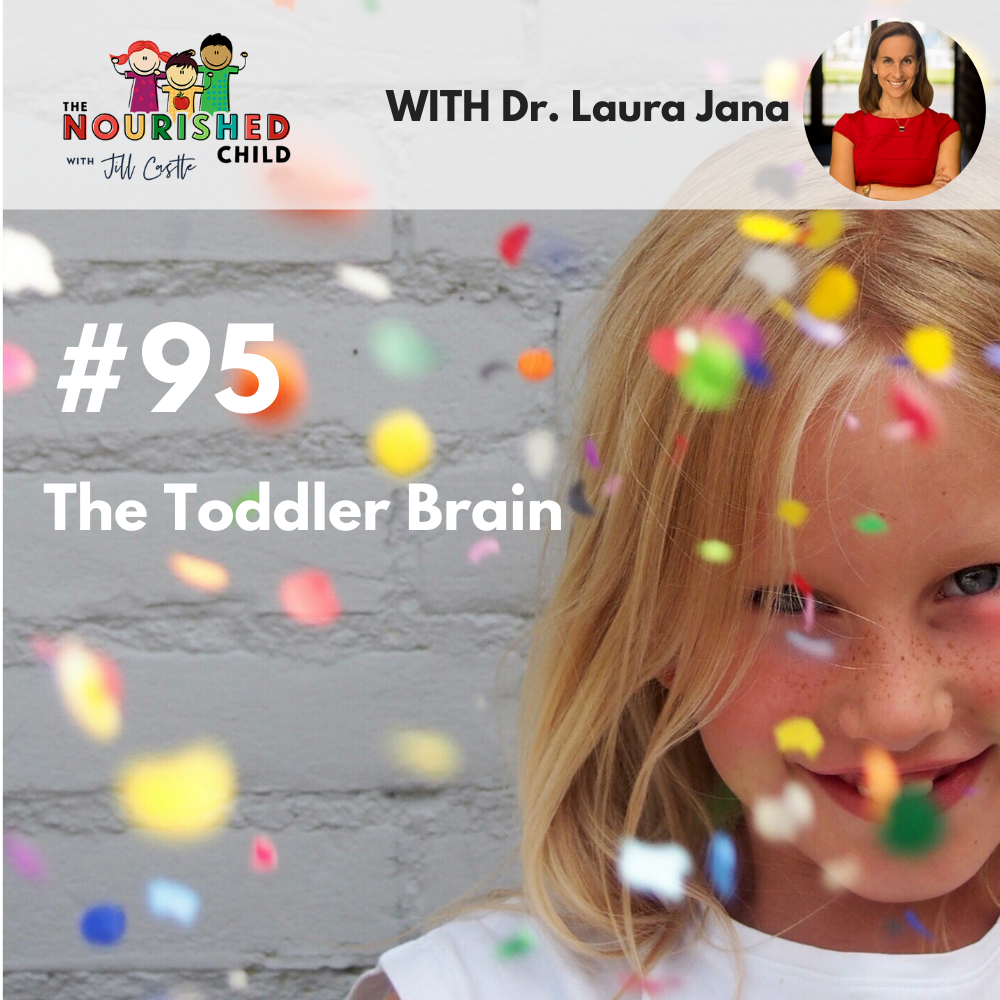 The Toddler Brain