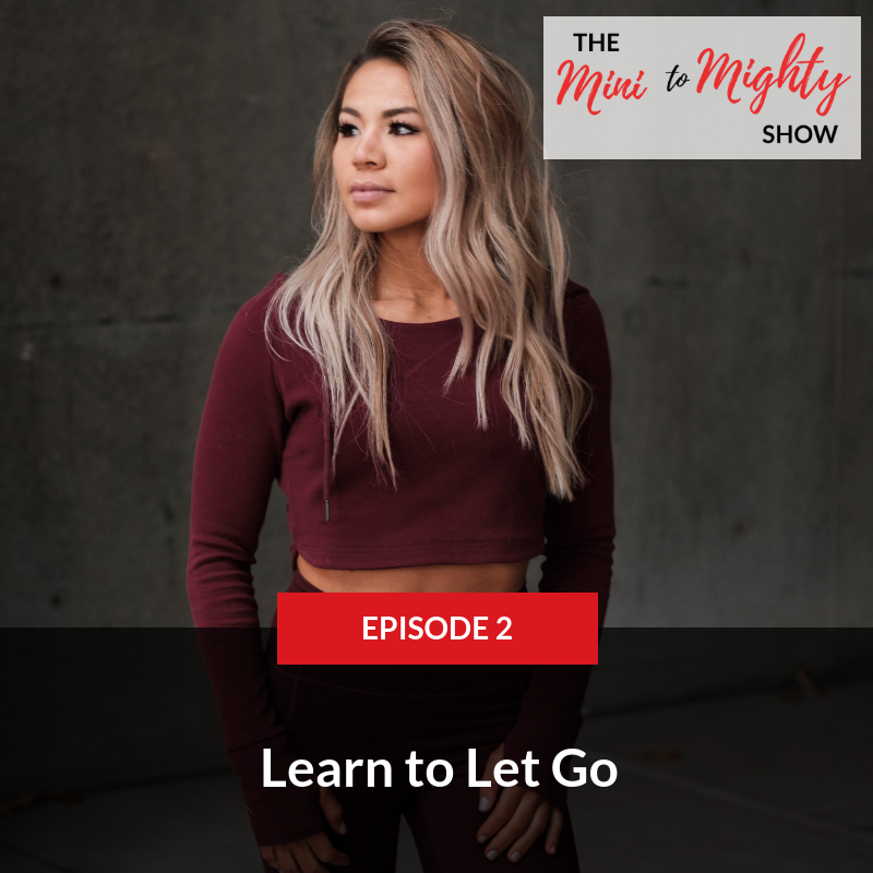 The Mini to Mighty Show
