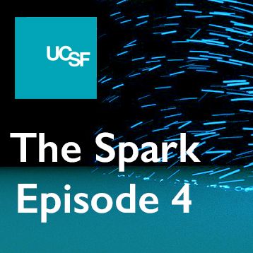 The Spark