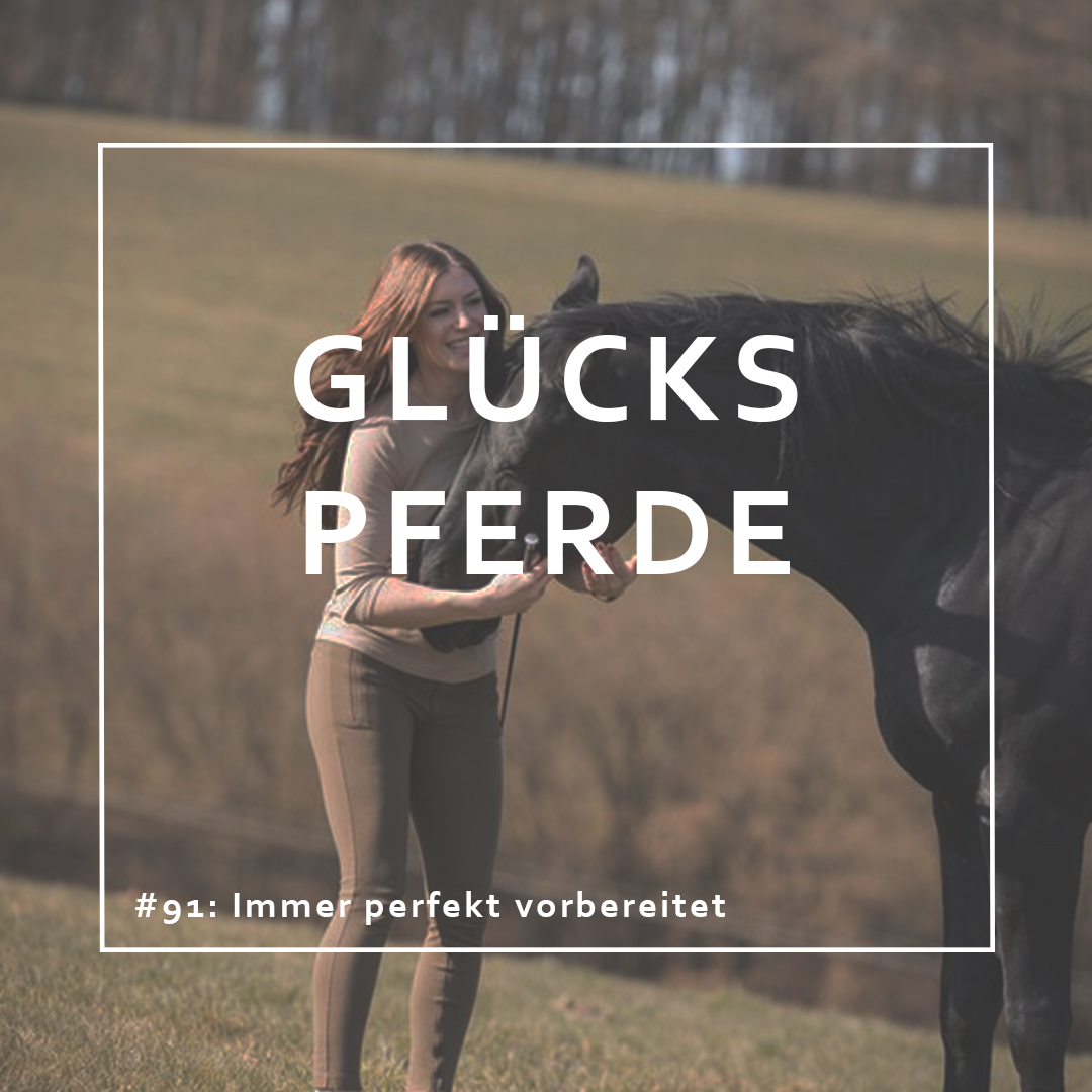 GlücksPferde - Erfüllt leben im Spiegel der Pferde