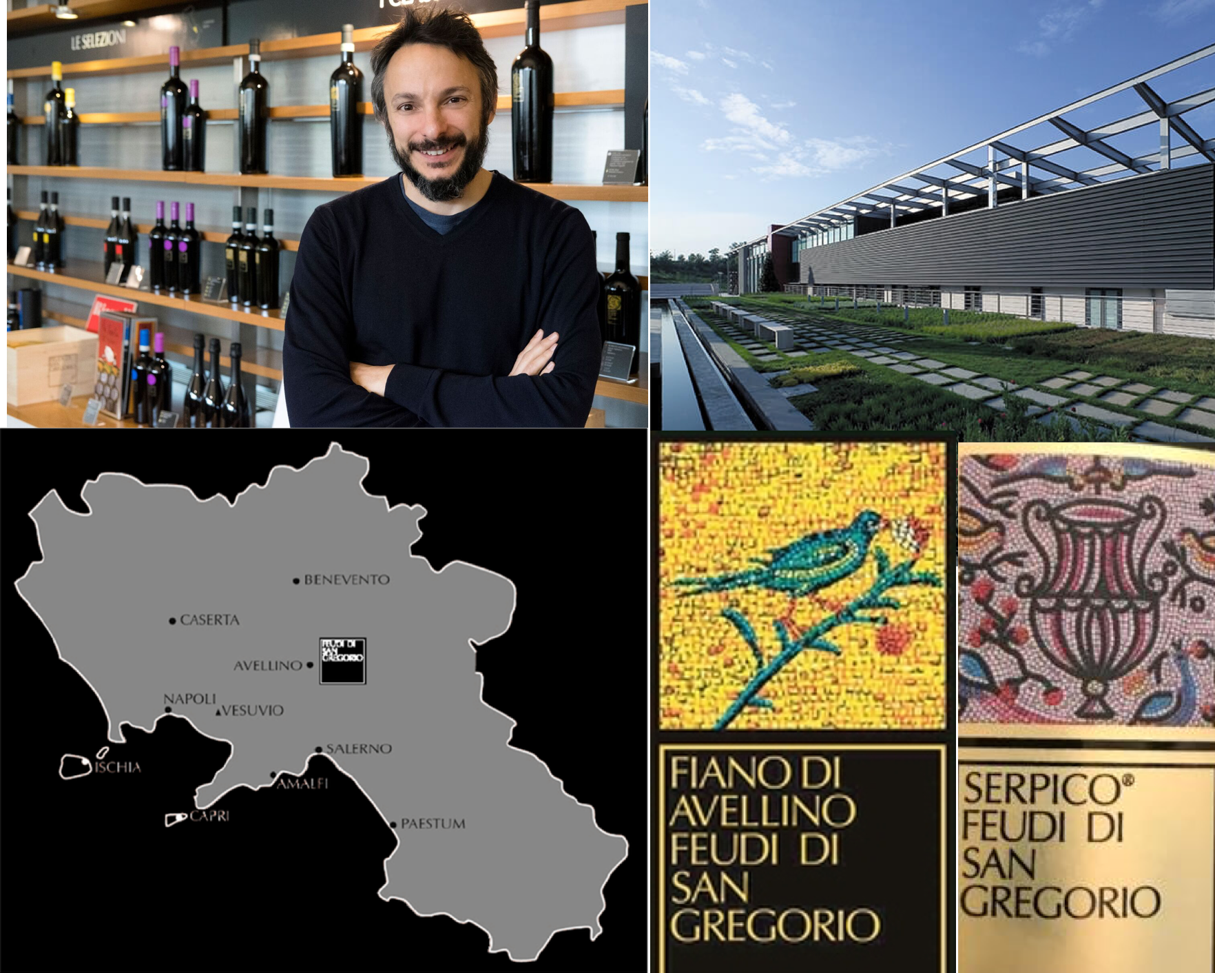 Feudi di San Gregorio and the Unrivaled Wines of Campania, Italy