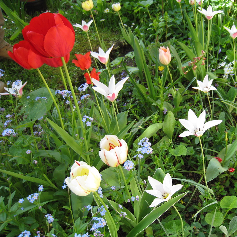 Le podcast du Jardin des Merlettes