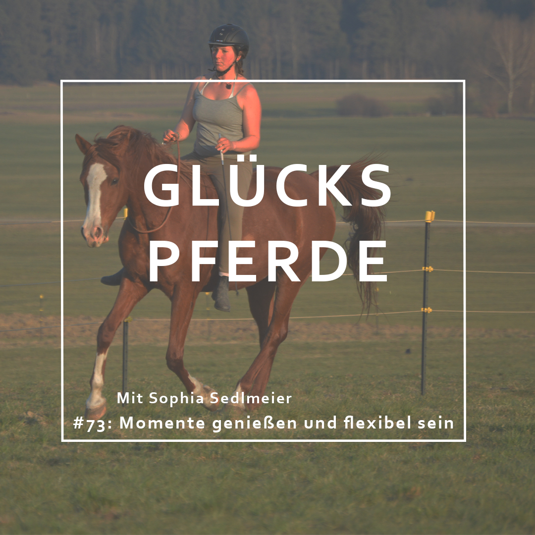 GlücksPferde - Erfüllt leben im Spiegel der Pferde