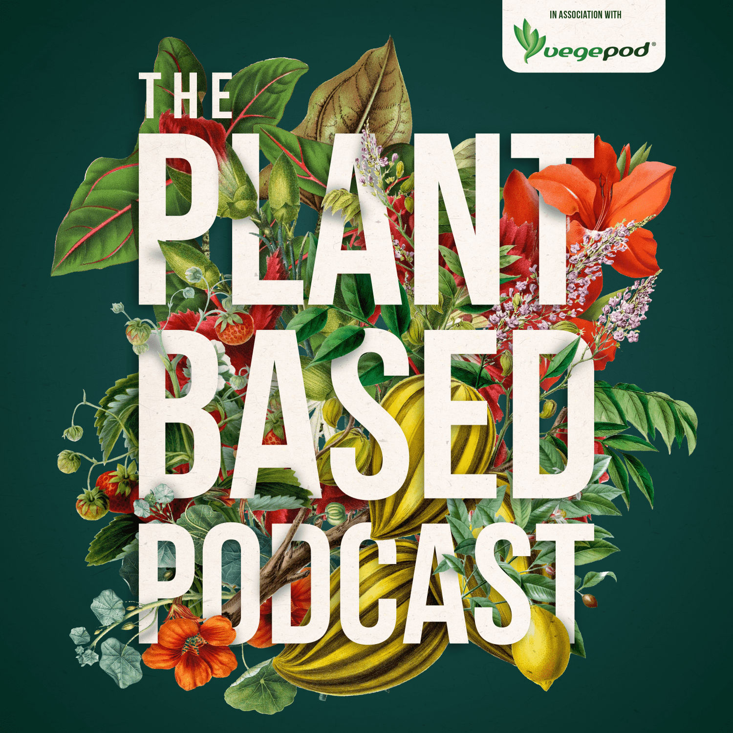S2 E1 How 50,000 seedlings create the perfect rose