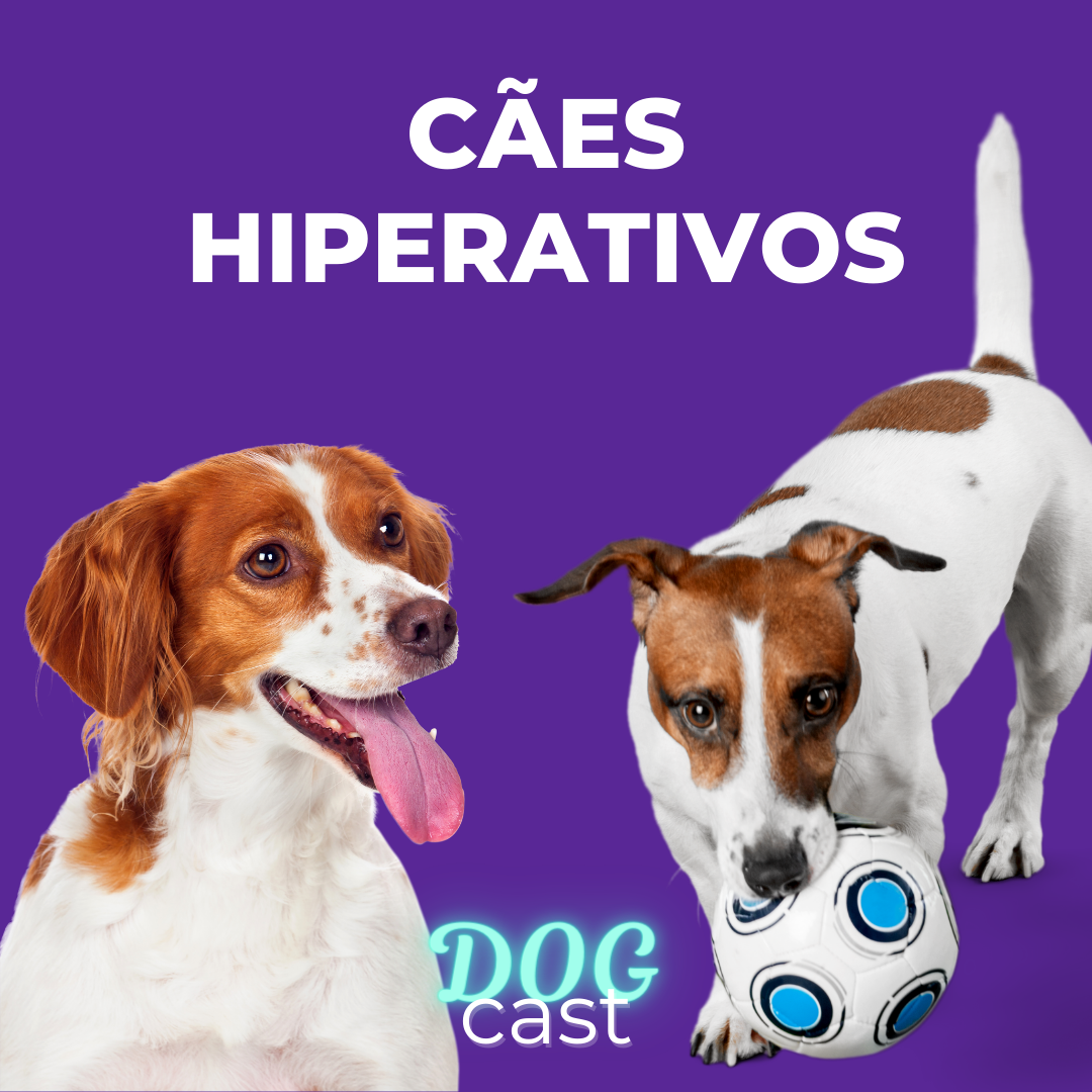 DogCast
