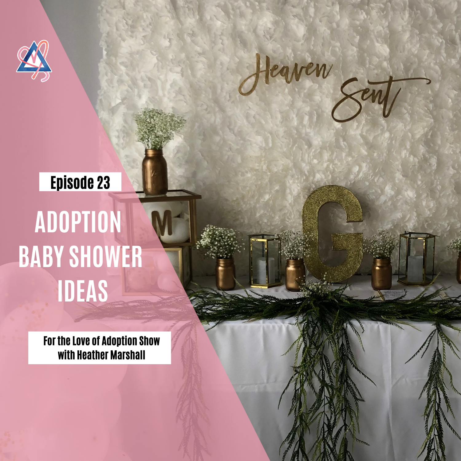 For the Love of Adoption Show