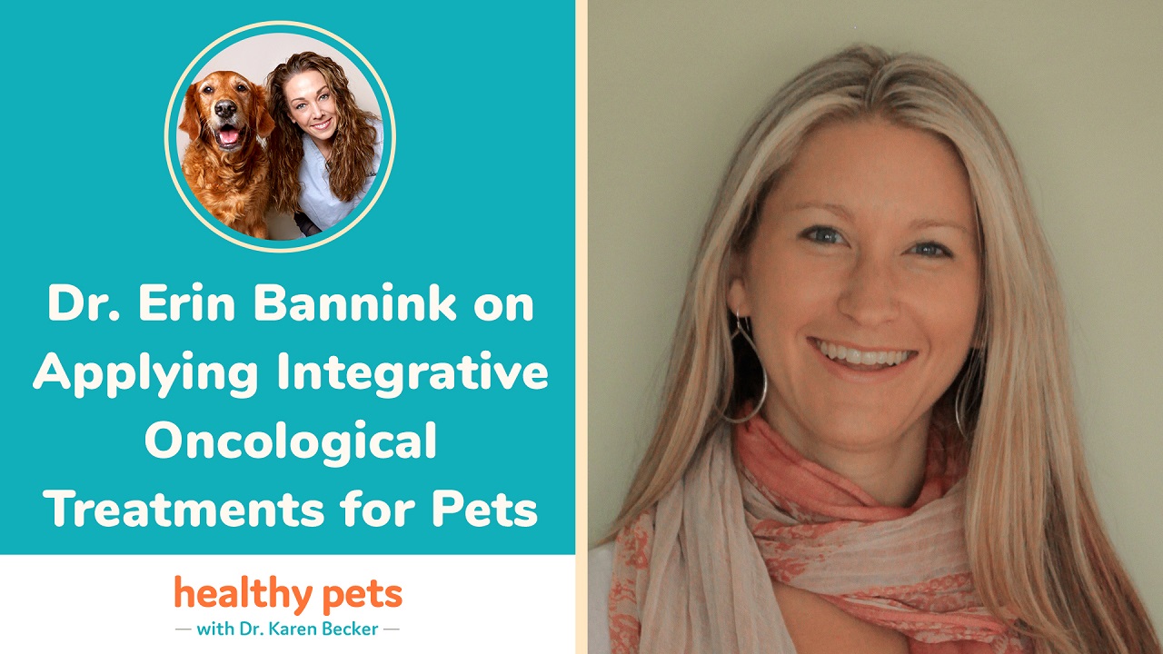 Dr. Erin Bannink on Applying Integrative Oncological Treatments for Pets
