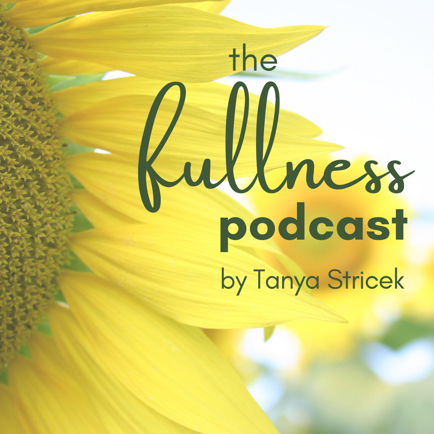 The Fullness Podcast: Menopause Health & Pro Aging the Non Diet Way