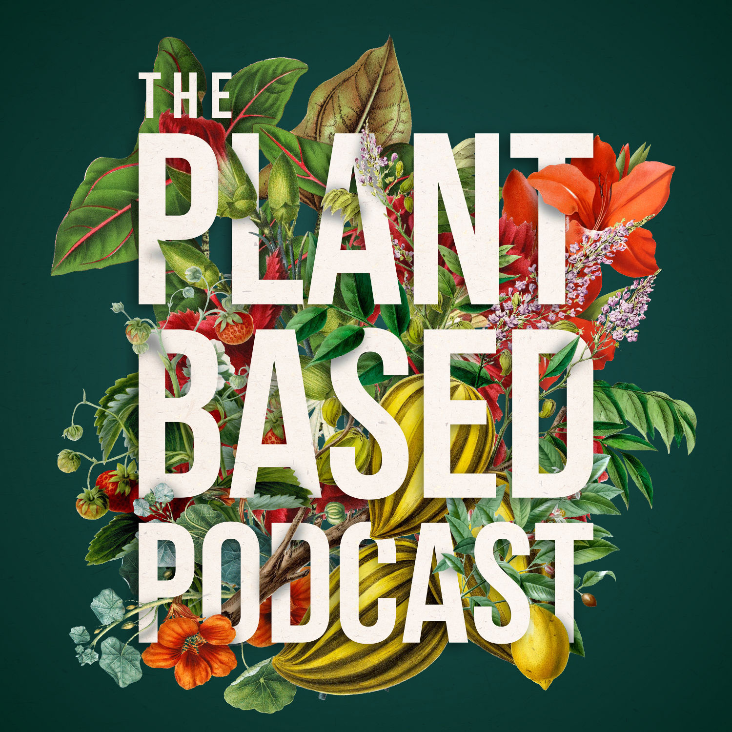 The Plant Based Podcast Bonus - Christmas plants, puns and Poinsettias