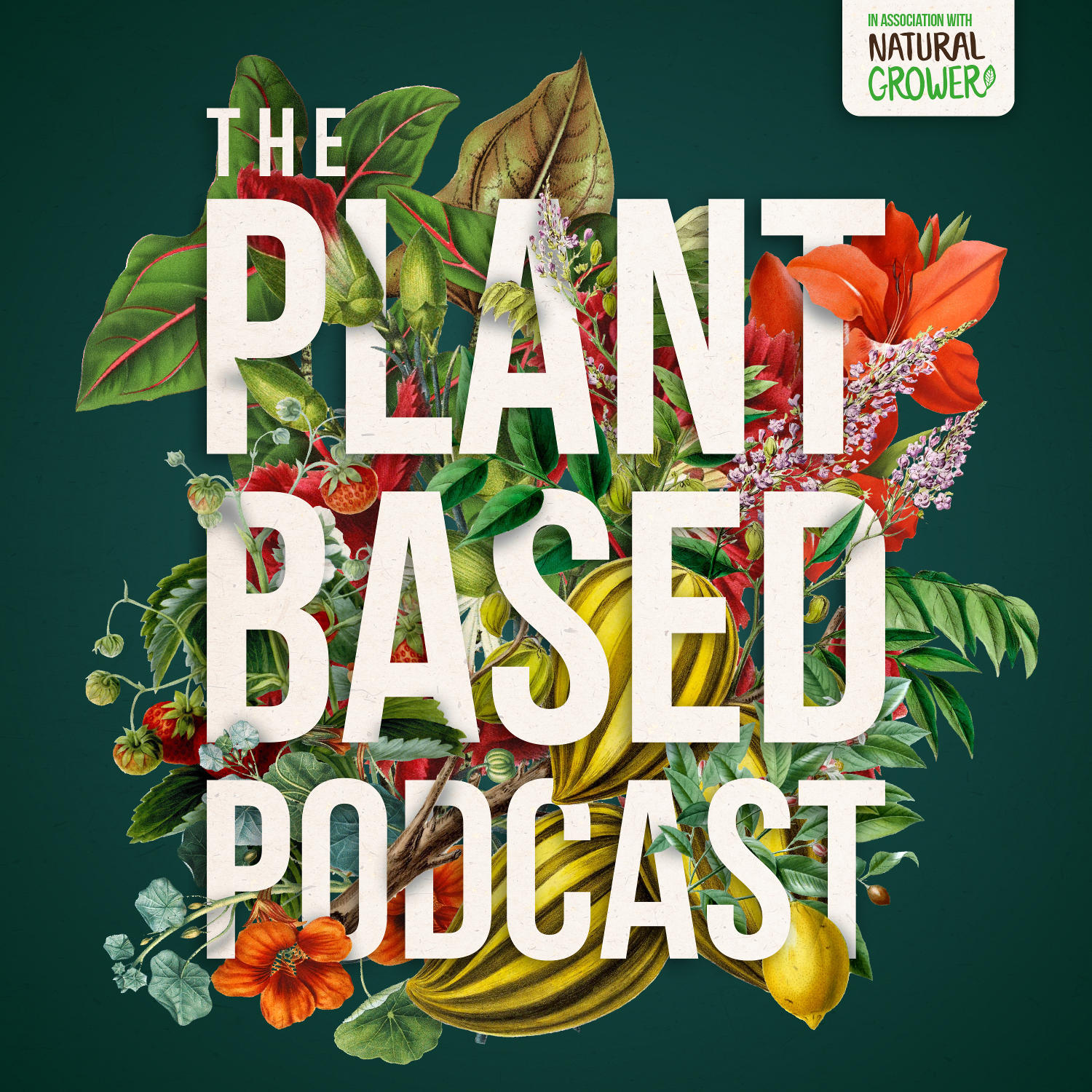 S3 E13 Part 1 - Chatting with wildlife hero Chris Packham