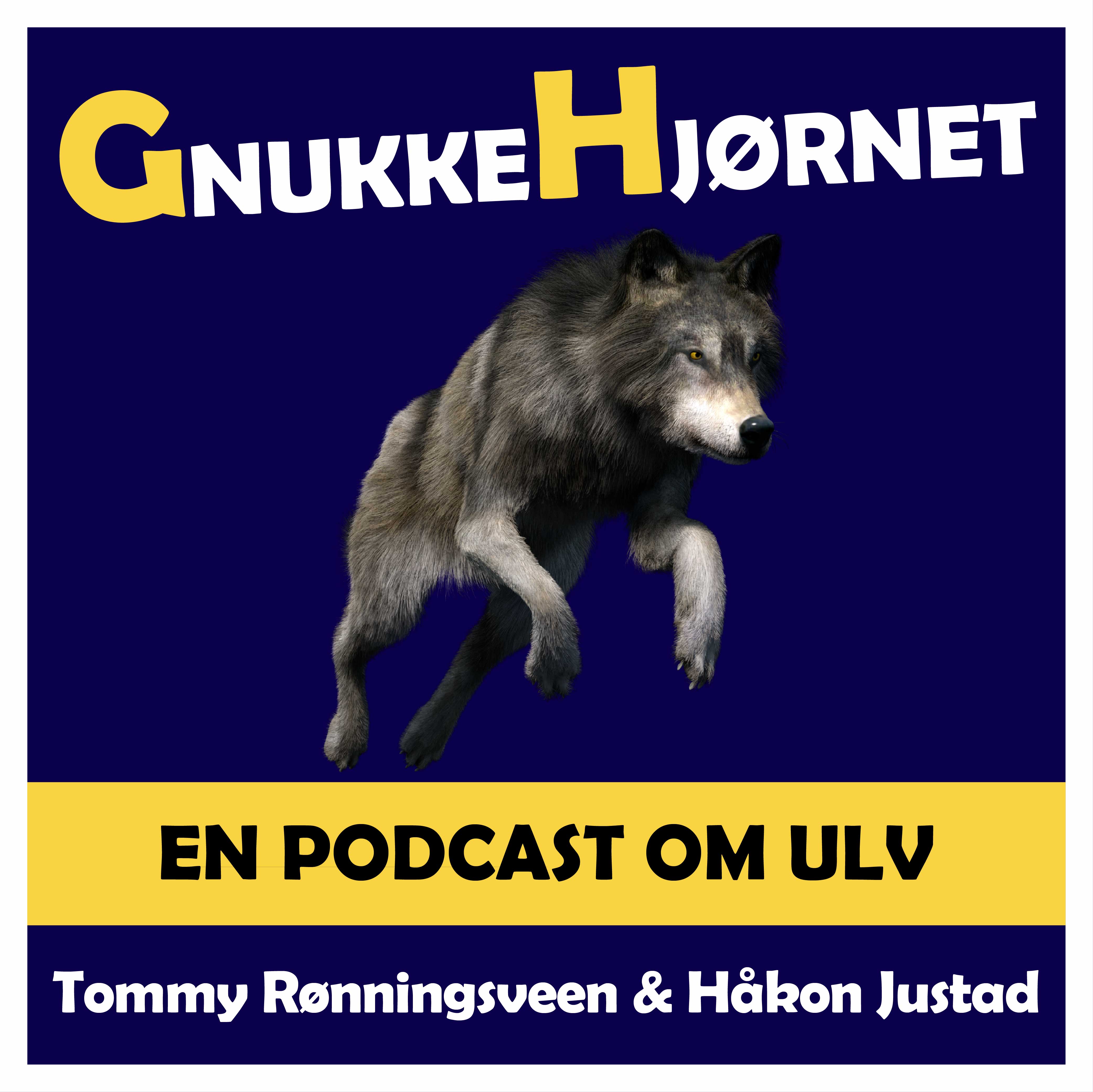 Gnukkehjørnet