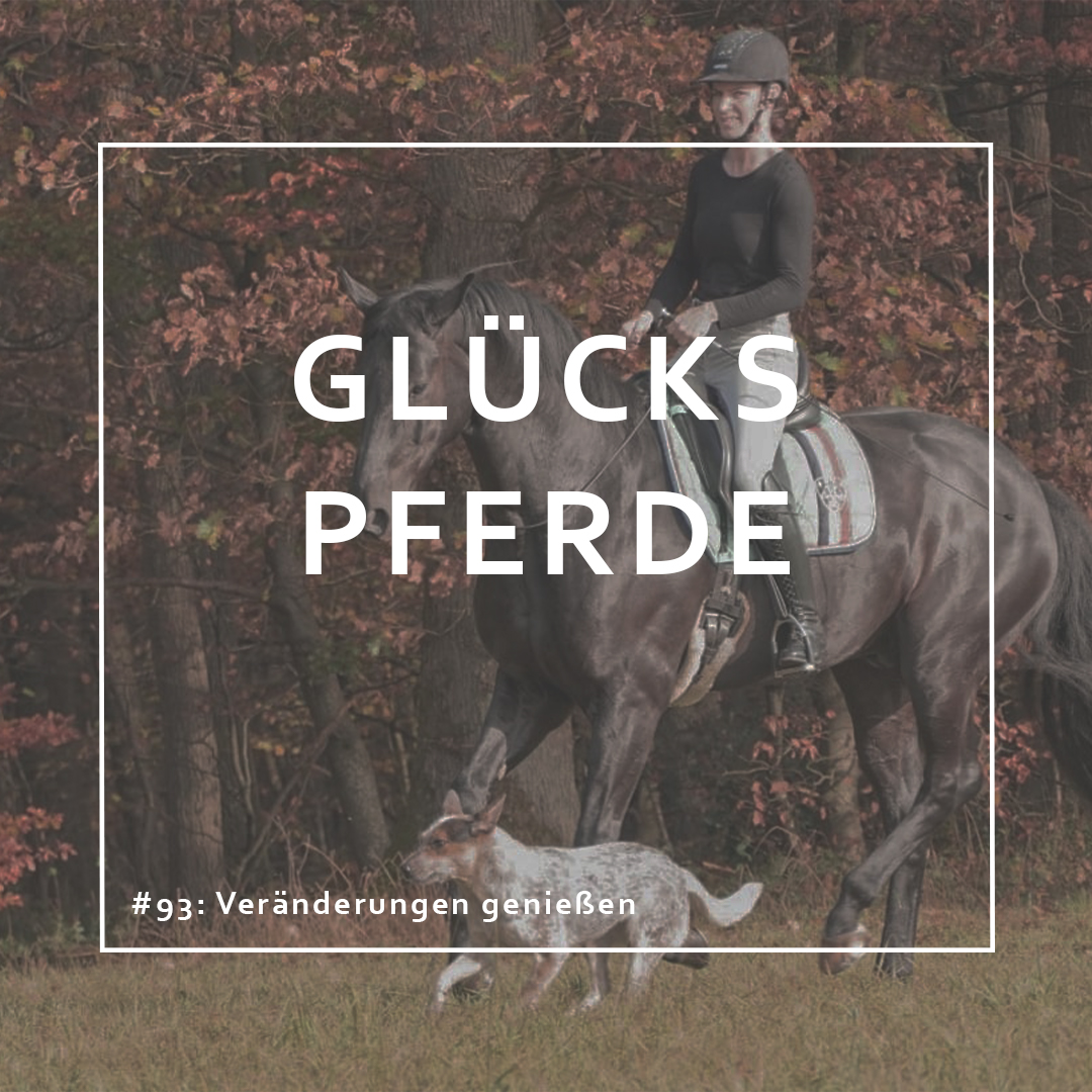 GlücksPferde - Erfüllt leben im Spiegel der Pferde