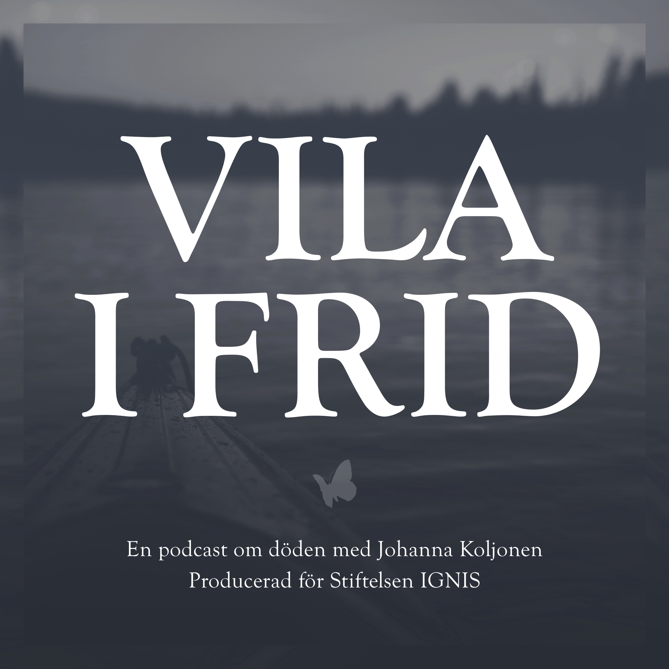 Att inte längre vilja leva – med Erik Widlund