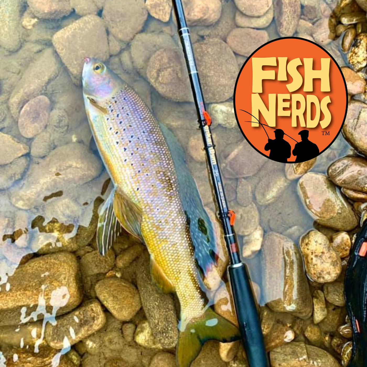 NaPodPoMo #17 Fishing for Arctic Grayling in Alaska