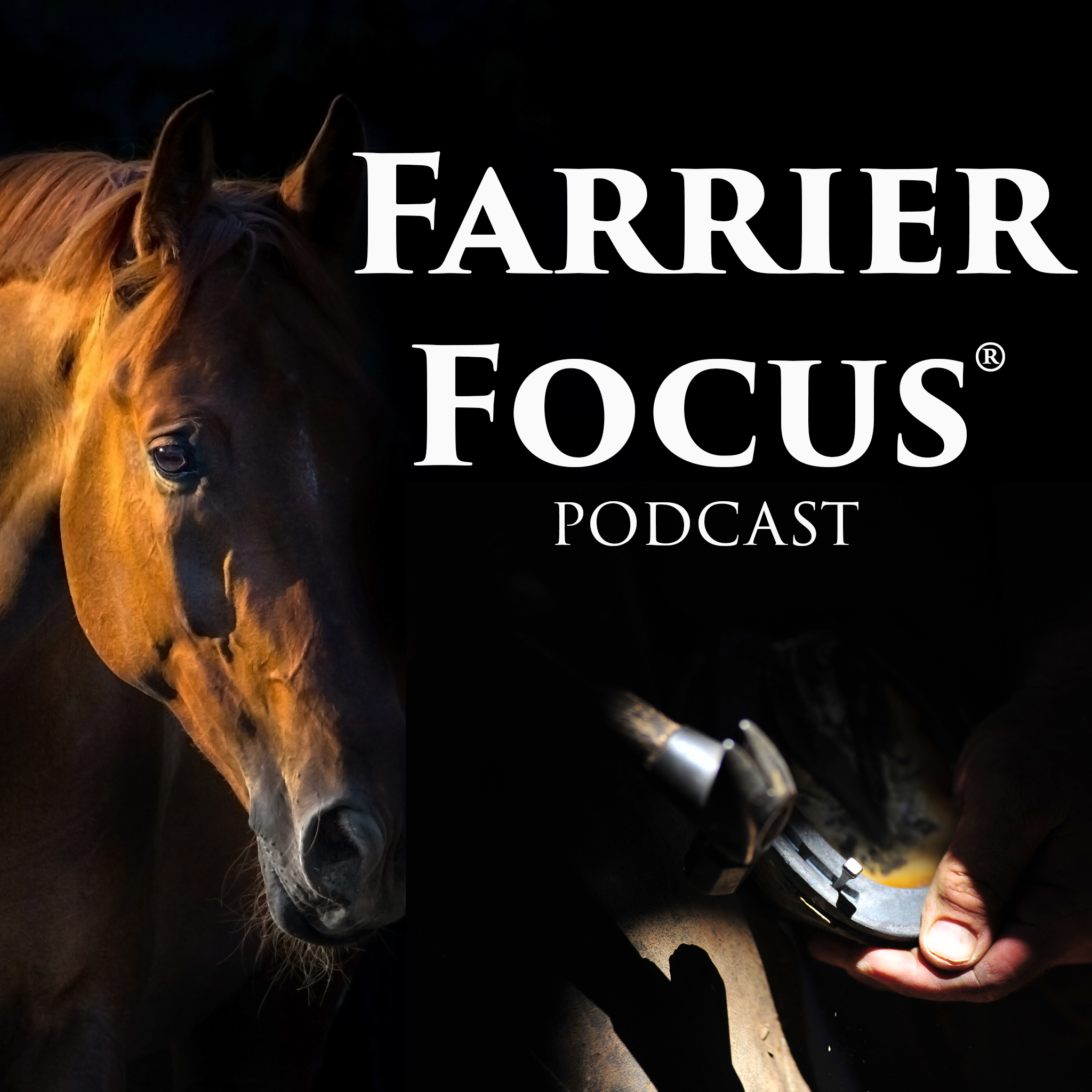 Interview with Farrier Legend Randy Luikhart (Re-Release)