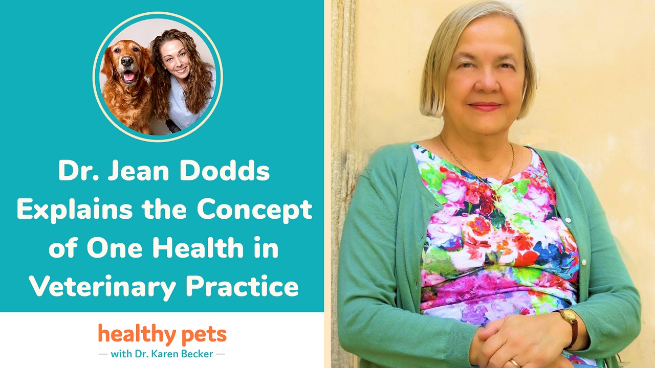 Dr. Jean Dodds Explains the Concept of One Health in Veterinary Practice