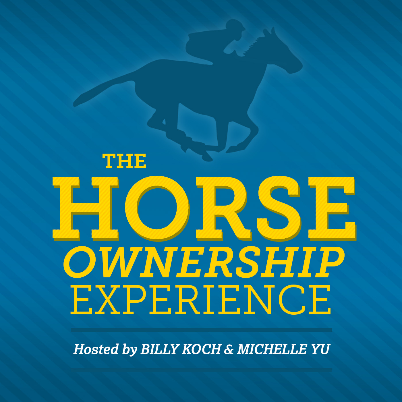 The Horse Ownership Experience - 5/20/20