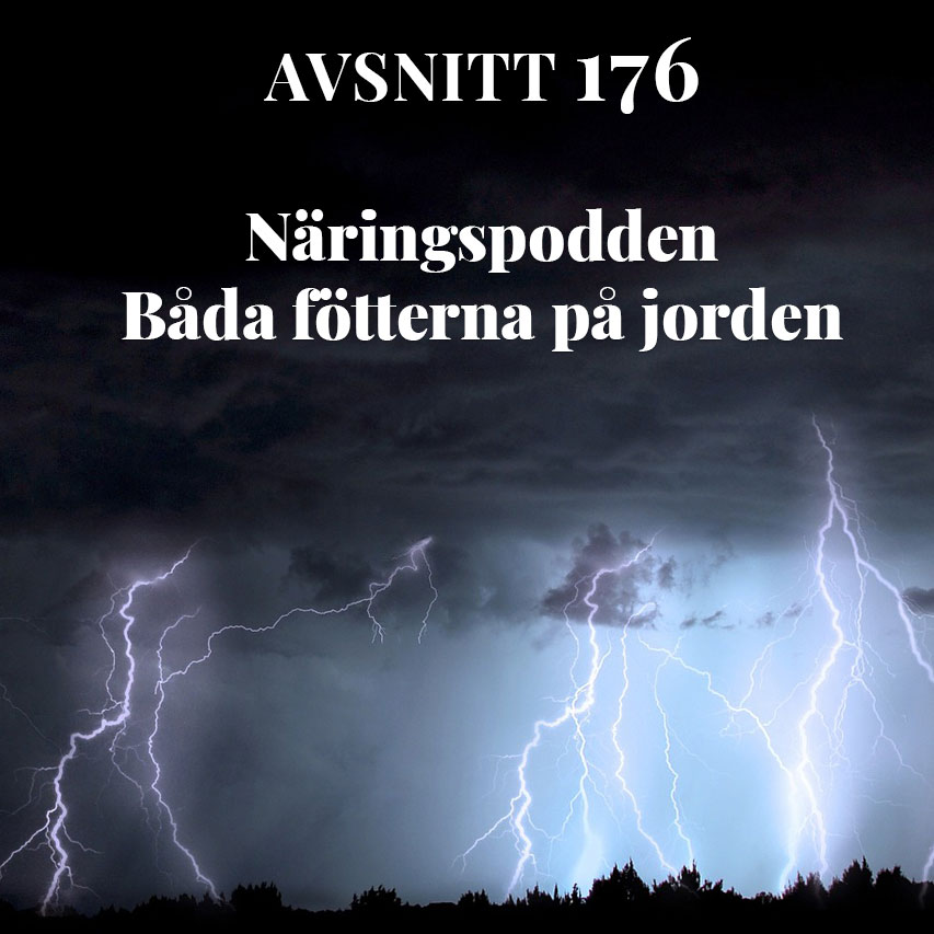 Näringspodden