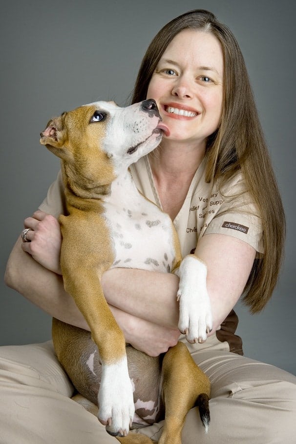 The Vet Reset