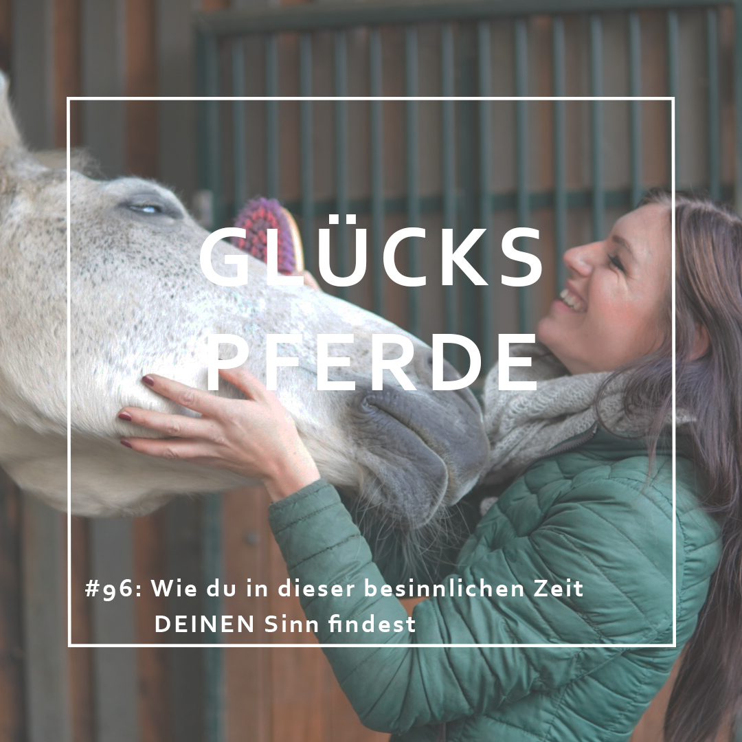 GlücksPferde - Erfüllt leben im Spiegel der Pferde