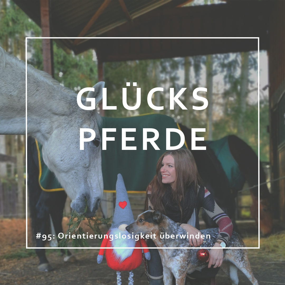 GlücksPferde - Erfüllt leben im Spiegel der Pferde