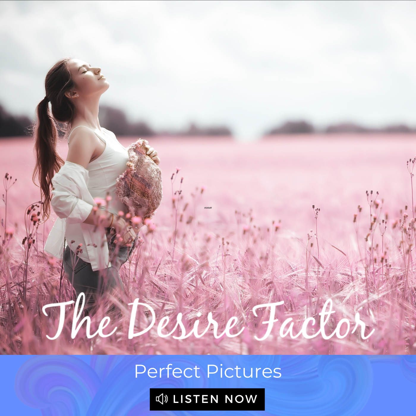 The Desire Factor