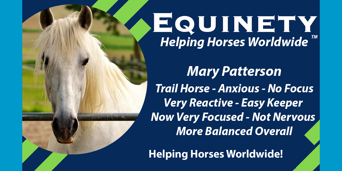 Mary Patterson – Trail Horse - Very reactive, anxious, couldn't control her attention or focus, easy keeper – Now Happier, More Muscle, More Focused, More Balanced