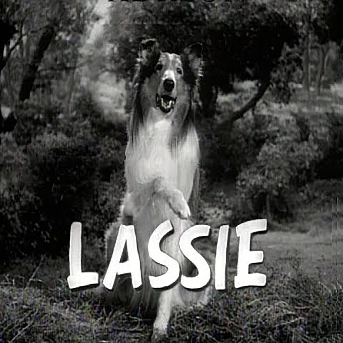 Lassie 54-74