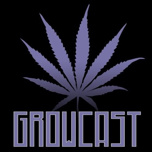 Grow Tips, Supersoil Talk, Garden Therapy, and More, with Rhizo Rich
