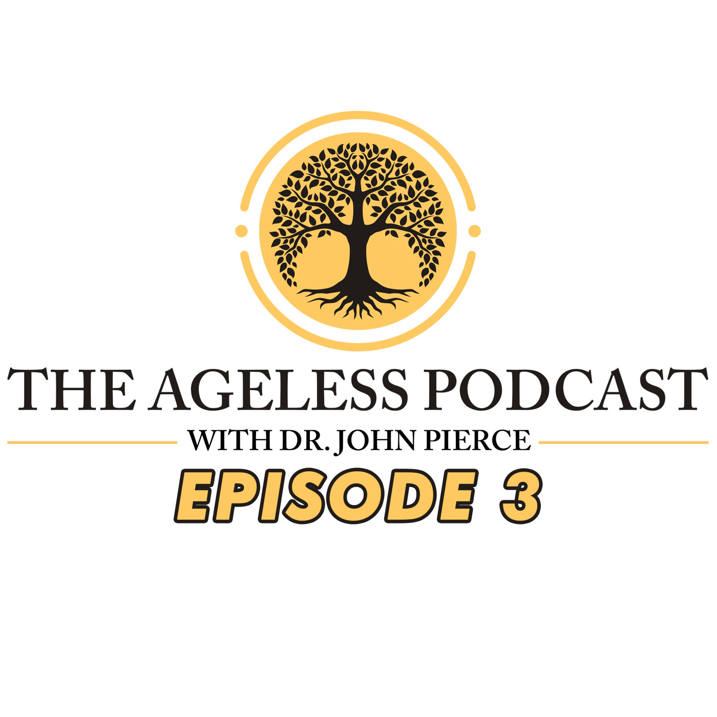 The Ageless Podcast