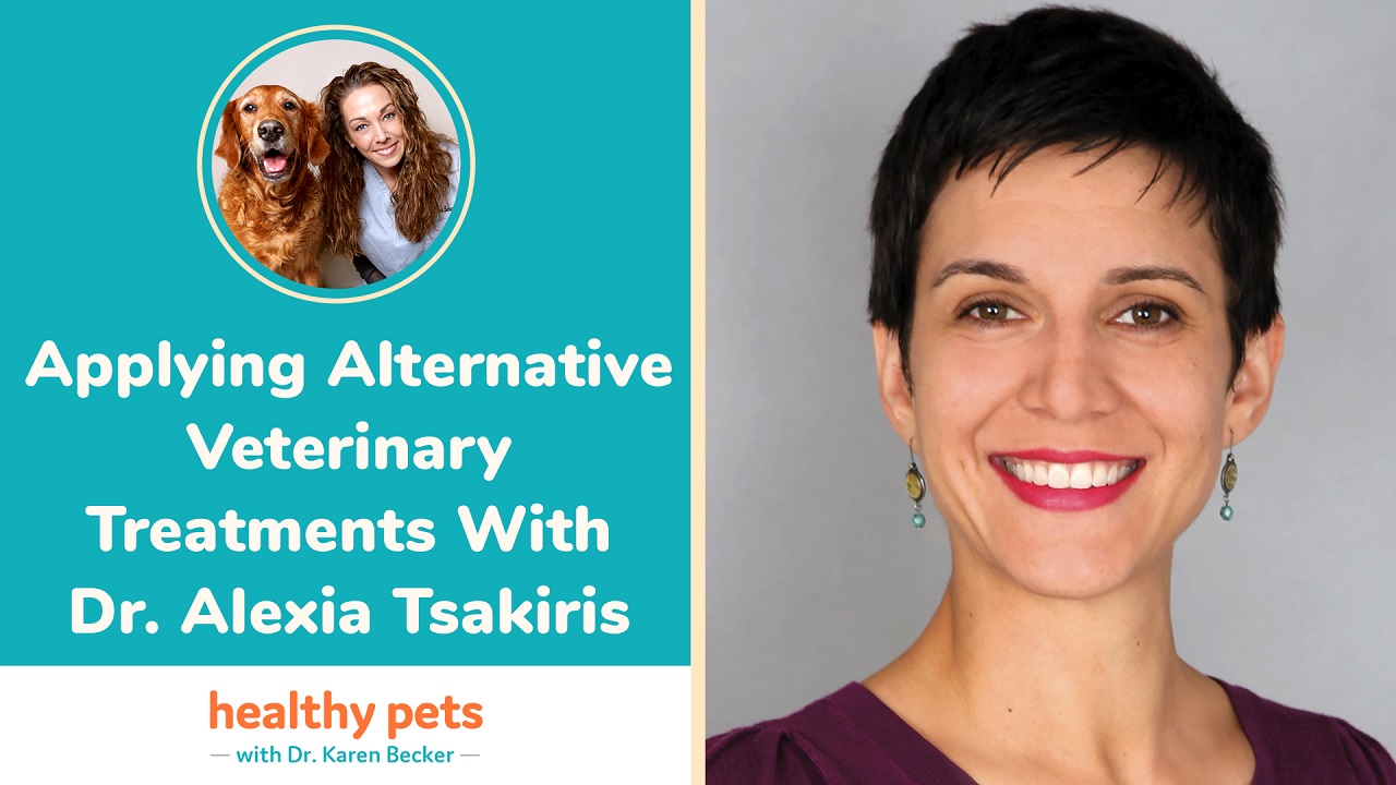 Applying Alternative Veterinary Treatments With Dr. Alexia Tsakiris