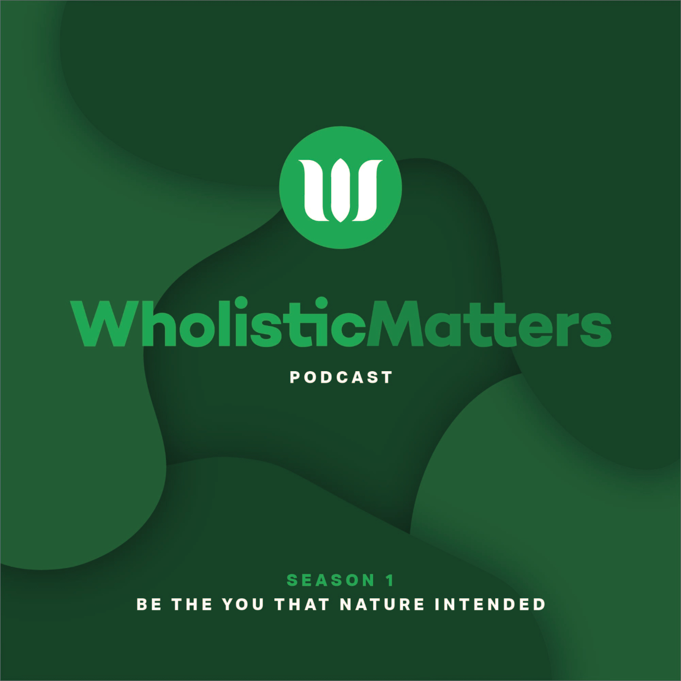 WholisticMatters Podcast Series