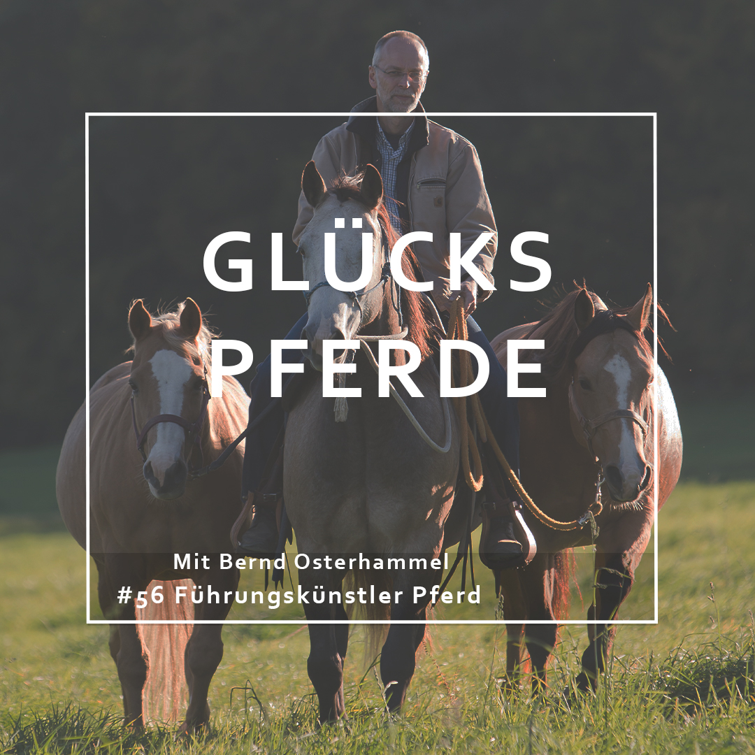 GlücksPferde - Erfüllt leben im Spiegel der Pferde