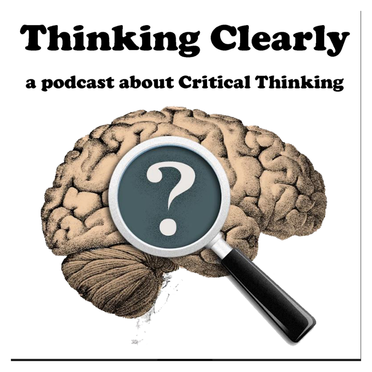 #42-False Beliefs in our Democracy-How they Spread and Persist-with Guest Cailin O'Connor