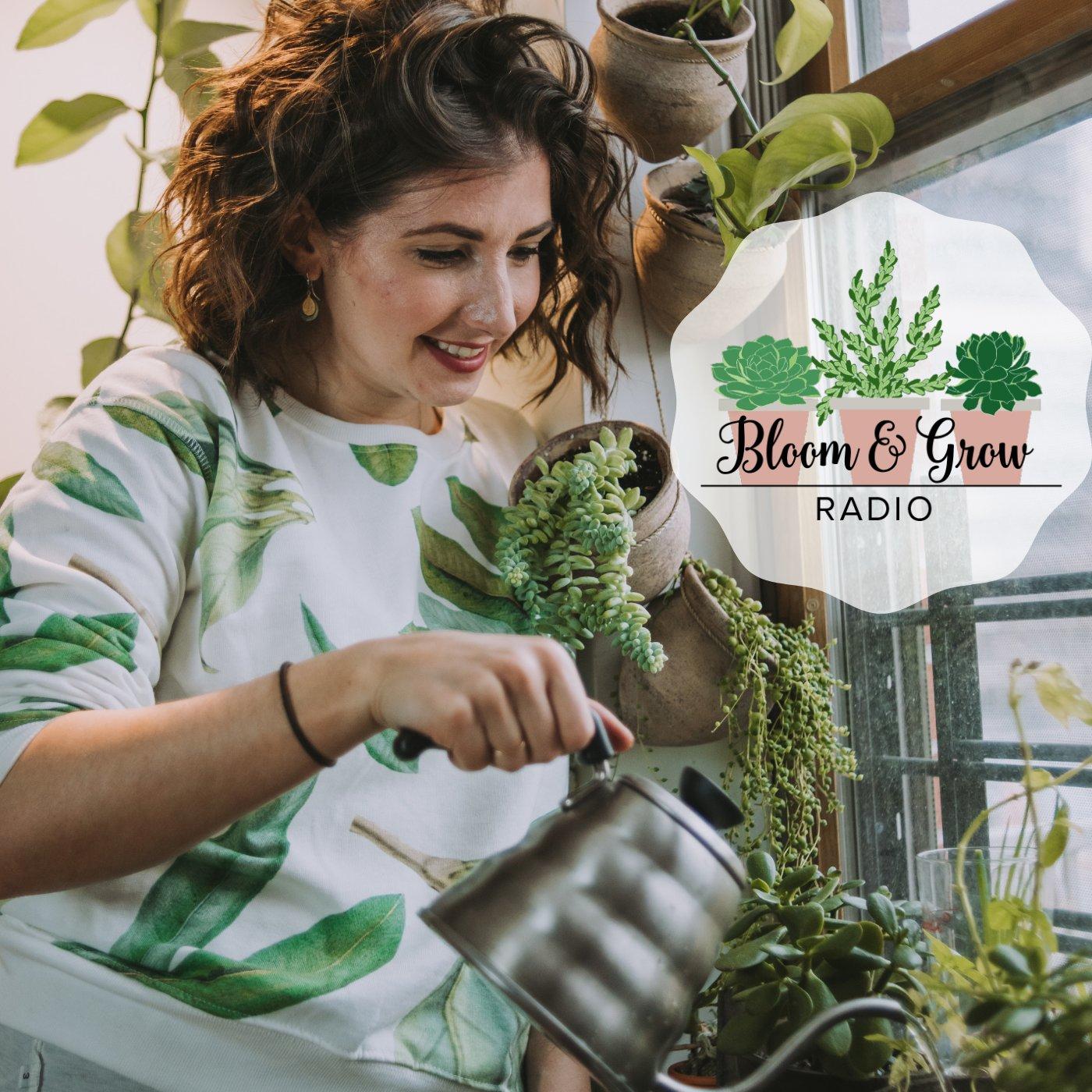 Container Gardening 101 with Kevin from Epic Gardening